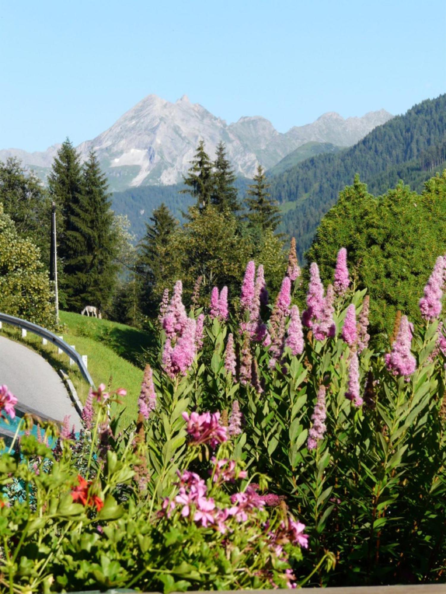 Haus Kammerland Zell am Ziller Eksteriør billede